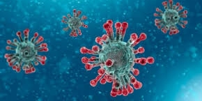 corona virus 2