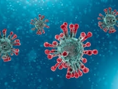 corona virus 2