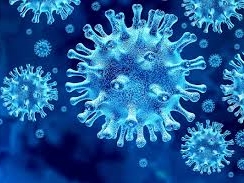 corona virus