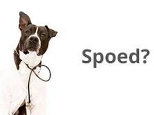 spoed